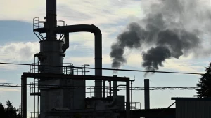 L’incendie de l’usine Lubrizol